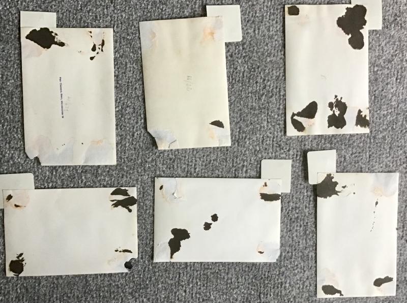 Third Reich Personality Photographs-VictorvLutze